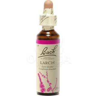 POWER HEALTH Bach No. 19 Larch Ανθοΐαμα 20ml