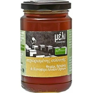 APIPHARM Μέλι με Θυμάρι & Βότανα Κωνοφόρων, 400gr