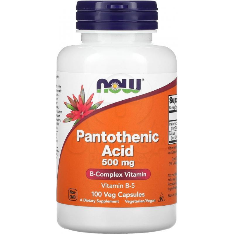 NOW FOODS Pantothenic Acid 500mg 100caps